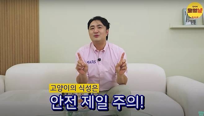 심용희 수의사가 유튜브 반려의 완성에 출연해 고양이의 야생 본능에 대해 설명하고 있다(유튜브 반려의 완성 갈무리). ⓒ 뉴스1