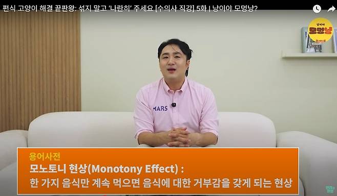 고양이의 편식에는 또 다른 생체 반응인 '모노토니 현상(Monotony Phenomenon)'이 작용한다(유튜브 반려의 완성 갈무리). ⓒ 뉴스1