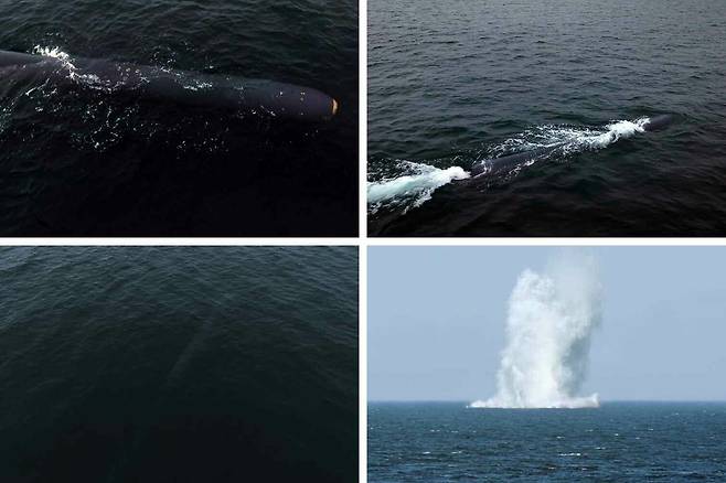 북한의 ‘수중 핵드론’으로 분류되는 수준전략무기체계 ‘해일’ 시험 가동 당시 모습. 평양노동신문=뉴스1