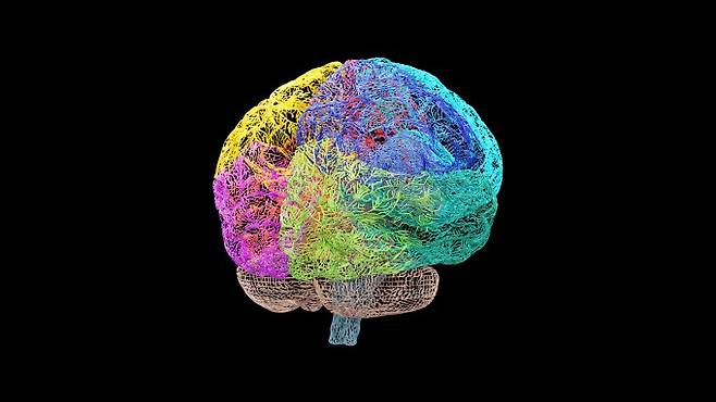 과학자들이 쥐의 신경세포(뉴런) 활동을 동시에 기록한 '뇌 전역 지도'를 구축했다. 뇌를 나타낸 그래픽. 게티이미지코리아&nbsp;
