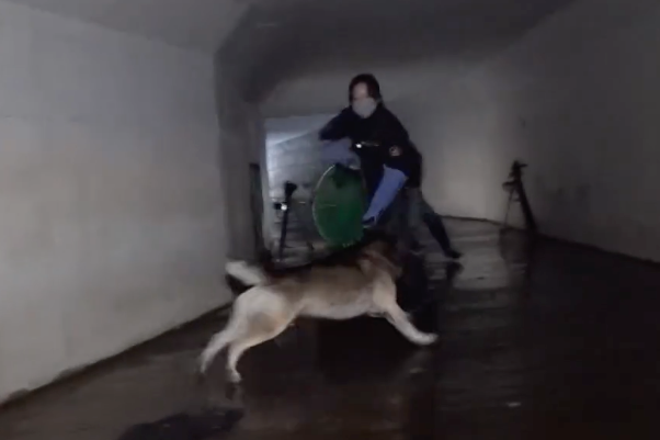 구조팀은 수로 일부를 펜스로 막은 뒤 포획에 나섰고, 한번에 성공했다. SBS TV동물농장 캡처