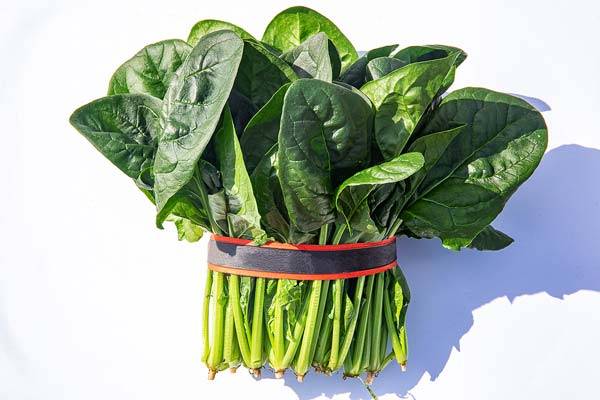 사진=클립아트코리아