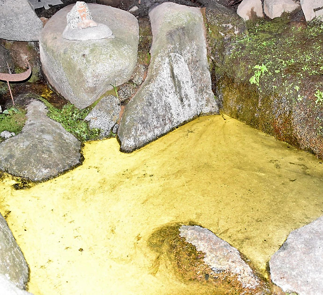 후쿠시마현 본모리시에 있는 이와카쿠산 이와카쿠지 사찰의 샘물이 황금빛으로 물드는 현상이 나타나 참배객들의 눈길을 사로잡고 있다. [사진 = TBS]