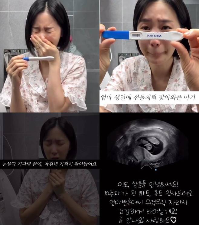 초아 소셜미디어