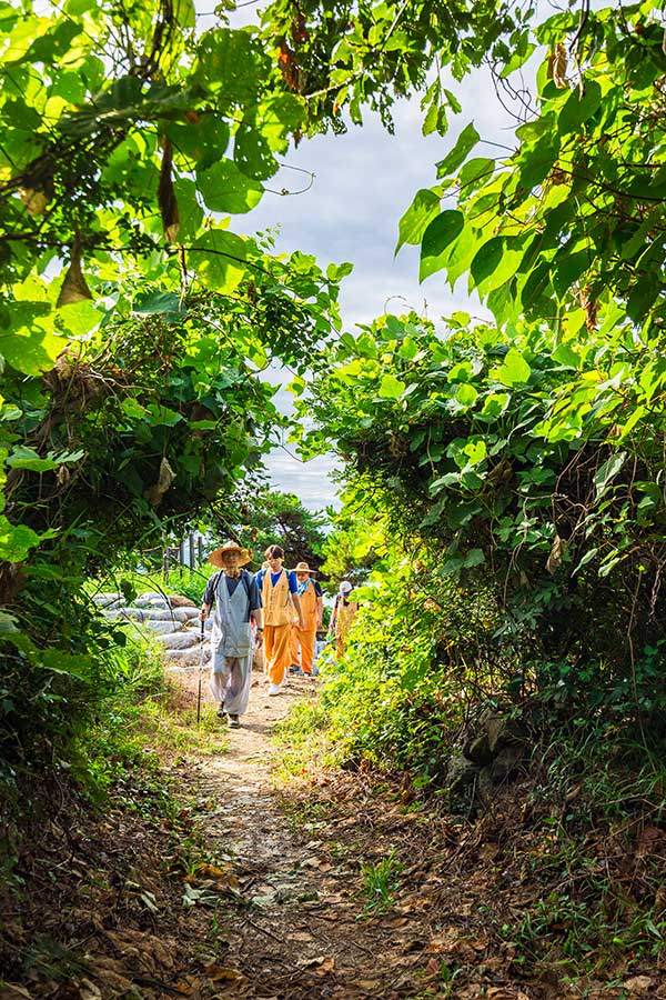 변산마실길은 해안걷기길임에도 숲터널이 많아 더위를 개의치 않고 걸을 수 있었다.