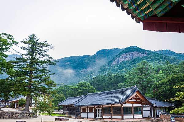 내소사는 변산국립공원 관음봉 아래 자리 잡은 천년고찰이다.