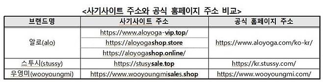 사기 사이트 주소와 공식 홈페이지 주소 비교