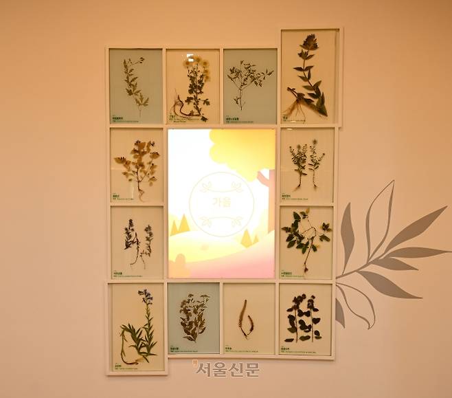 지리산 일대의 야생화 표본.