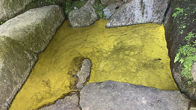 일본 후쿠시마현 모토미야시 이와츠노산(岩角山)에 있는 사찰 간카쿠지(岩角寺) 샘물에서 ‘금화수’(金花水) 현상이 나타난 모습. 엑스(@starfm1) 캡처