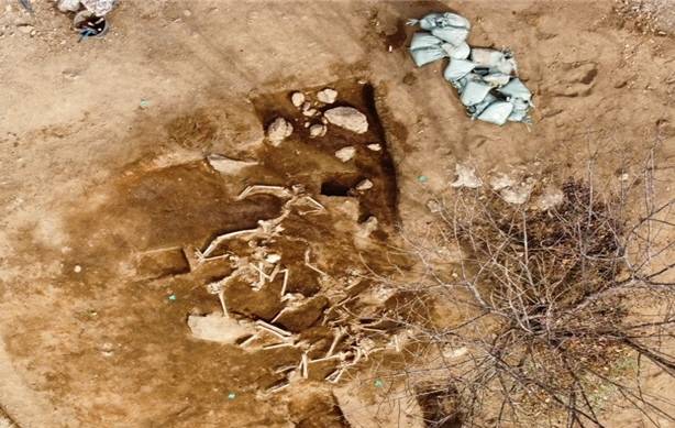 광양 매티재 발굴 유해.