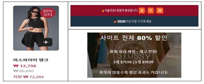 유명 브랜드 사칭 해외쇼핑몰 사기 사이트 화면 [서울시 제공. 재판매 및 DB 금지]