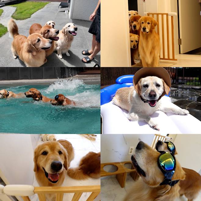 시사/교양 TV 동물농장 (사진: SBS)