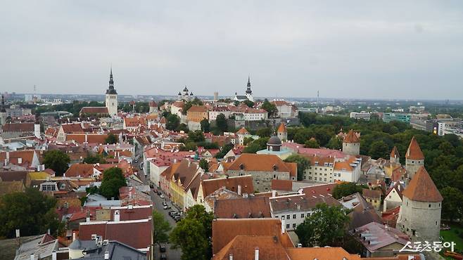 에스토니아 수도 탈린에서 내려다 본 성 캐서린 골목. 동아일보 DB