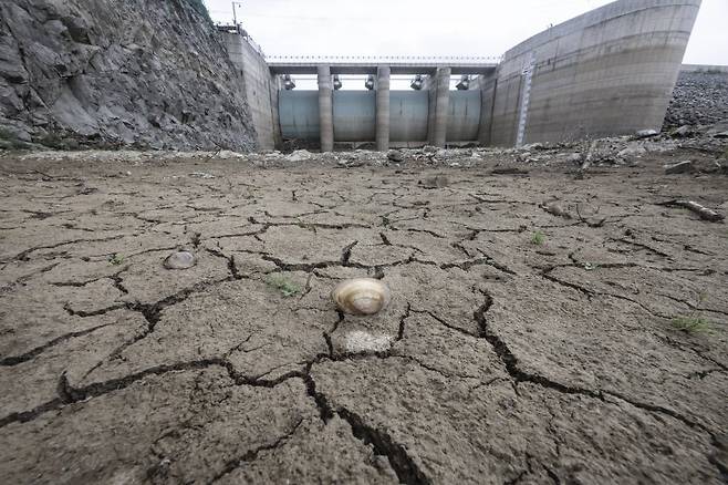 강릉지역에 극심한 가뭄 계속되는 4일 강원 강릉 오봉저수지의 바닥이 갈라져 있다. 뉴시스