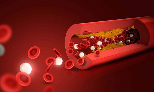 사진=클립아트코리아