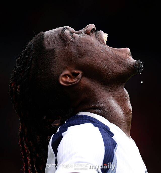 이브 비수마/게티이미지코리아