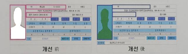 진급 대상자 개인자력(예시). 사진 제공=육군