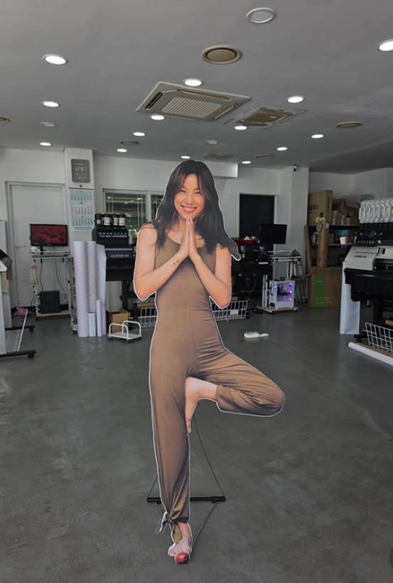 /사진=아난다 효리