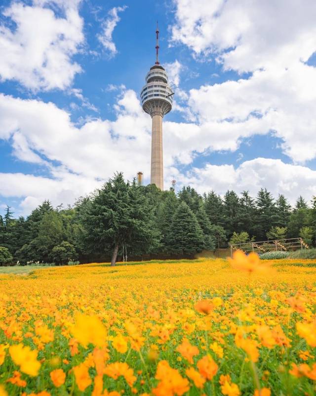 대구 테마파크 이월드