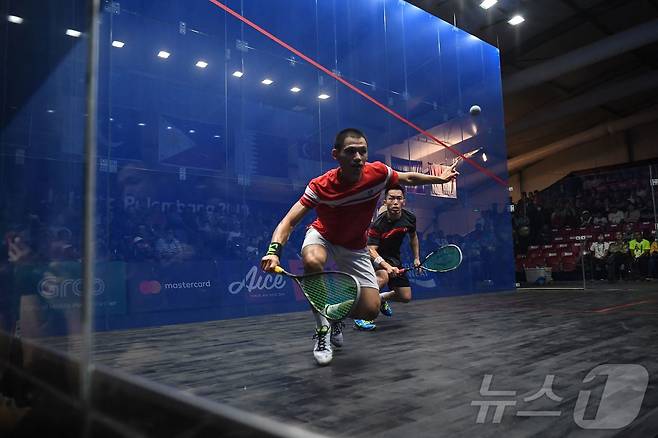 스쿼시는 사방이 벽으로 둘러싸인 코트 안에서 공을 서로 번갈아 치는 운동이다. ⓒ AFP=뉴스1