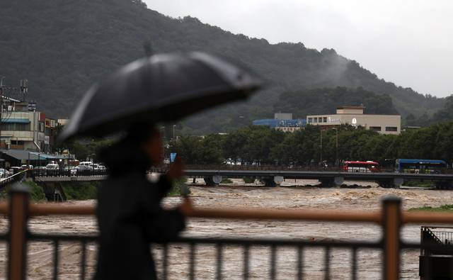 7일 밤사이 내린 많은 비로 홍수주의보가 내려진 전북 전주시 전주천 서천교에서 시민들이 불어난 물을 걱정스럽게 바라보고 있다. 연합뉴스