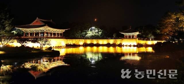 밤이 더 아름다운 동궁과 월지. 일몰에 맞춰 조명이 켜진다.
