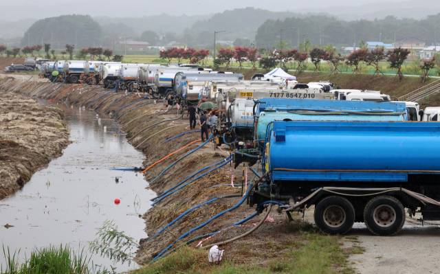 ▲최악의 가뭄이 이어지는 7일 강원 강릉의 한 하천에서 살수차들이 비가 내리는 가운데 운반급수를 위해 줄지어 취수하고 있다. ⓒ연합뉴스