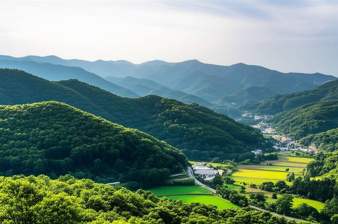 영주 가볼만한곳 베스트10 | 자동차월드