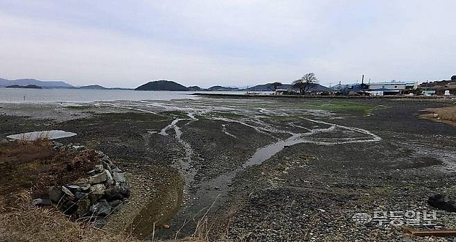 완도군 영풍방파제 가기 전 청해진로 인근 갯벌 2015년 2월