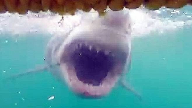 YTN / 기사와 직접적 관련 없는 이미지