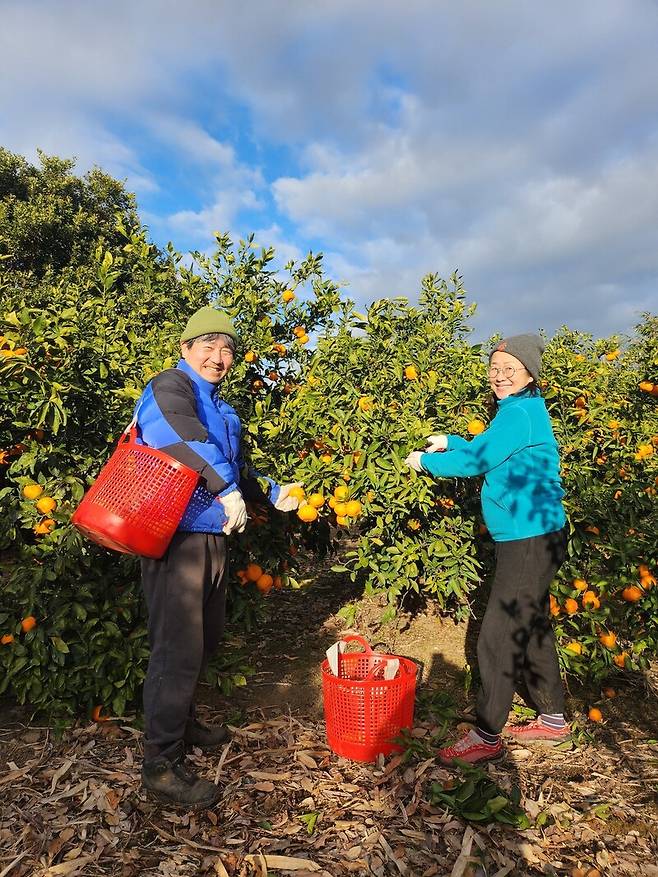 고인은 땀흘려 일해서 수확한 귤이 맛있다는 메시지를 받으면, 아이처럼 함박웃음을 짓던 제주도 귤밭의 순박한 농부였다. 필자 제공