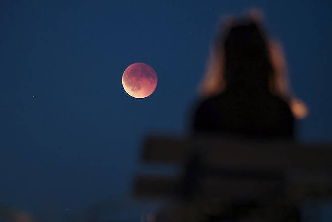 [라이프치히=AP/뉴시스] 7일(현지 시간) 독일 라이프치히의 한 공원에서 시민이 개기월식을 보고 있다. '개기월식'은 달이 지구 그림자에 완전히 가려지는 천문 현상이다. 2025.09.08.