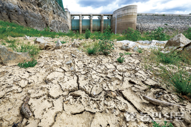 극심한 가뭄에 시달리는 강원 강릉에 국가 재난 사태가 선포된 가운데 1일 강릉시 성산면 오봉저수지가 바닥을 드러냈다. 강릉시는 생활용수가 부족해지자 8월30일부터 오봉저수지를 통한 농업용수 공급을 전면 중단했다. 농민신문DB