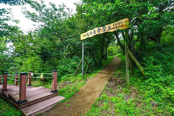 숲길 관찰로에서 정상 순환로가 갈리는 지점. 길은 넓고 쾌적하다.