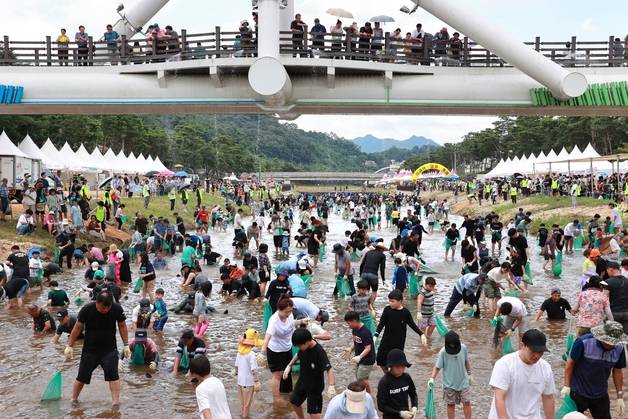 6일 충북 괴산군 동진천에서 열린 2025 괴산고추축제 체험 프로그램 '고추물고기를 잡아라'에서 참가자들이 메기를 잡고 있다. 뉴스1