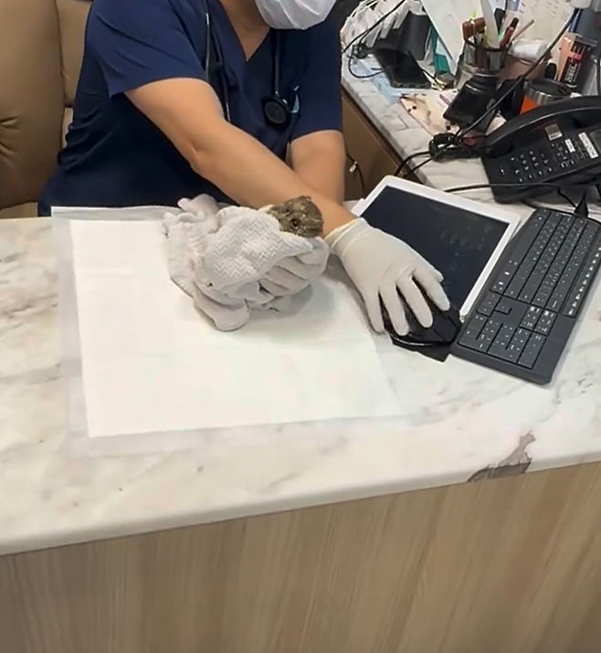 홍진영 SNS 캡처