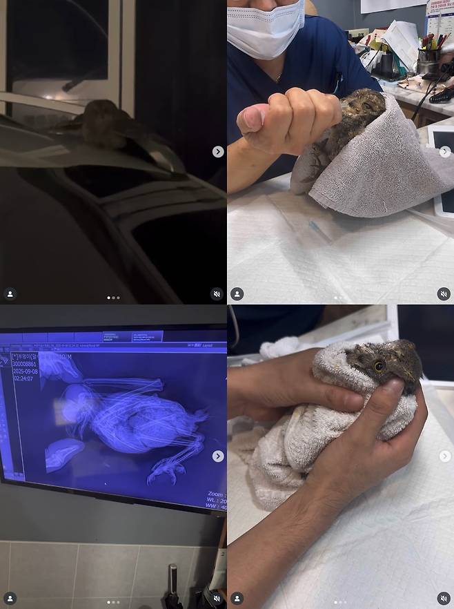 /사진=홍진영 SNS