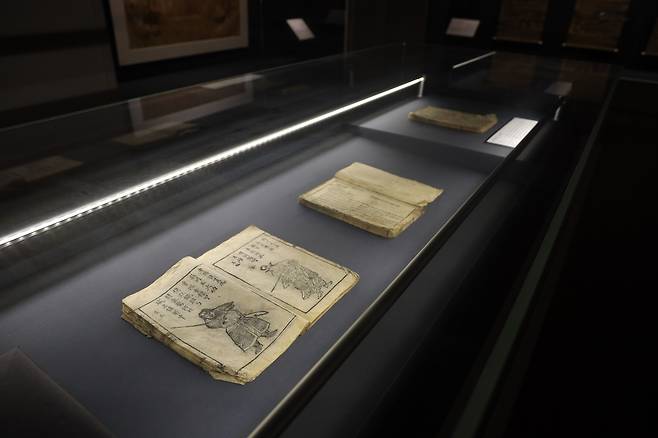 전시실 모습  [국립전주박물관 제공. 재판매 및 DB 금지]