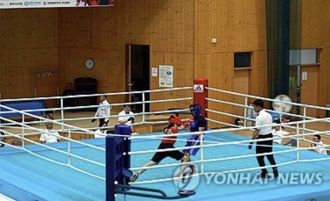 복싱 경기 사진. 기사 내용과 무관. [연합뉴스 자료사진]
