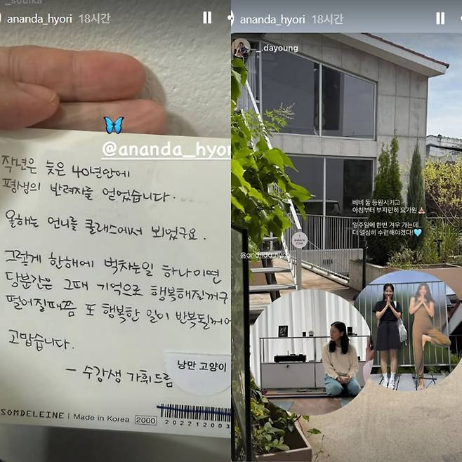 /사진 = 아난다 효리 캡처