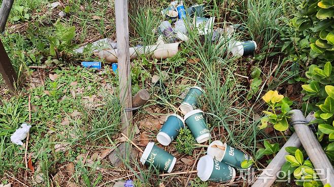 현장에 버려진 각종 쓰레기들. ⓒ제주의소리