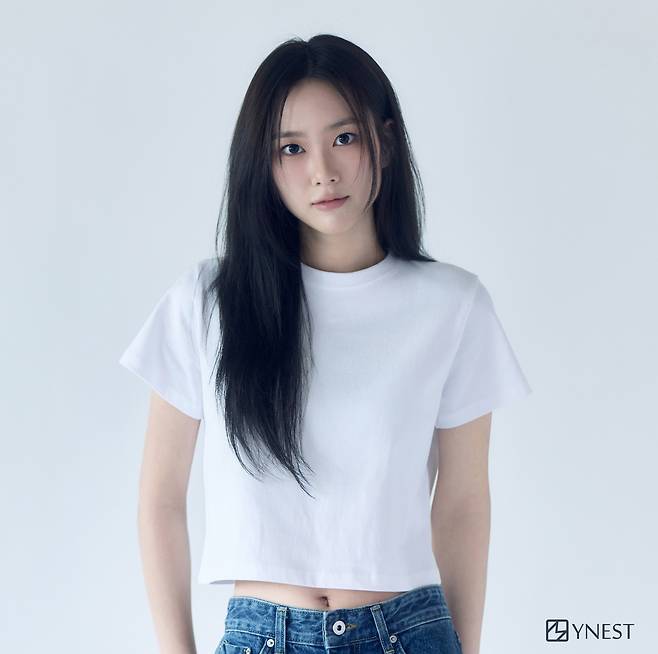 마이네스트컴퍼니