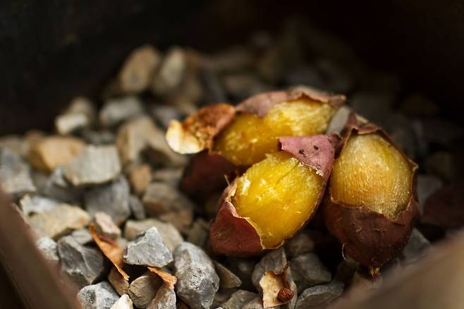 사진=게티이미지뱅크