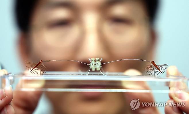 세계 최초 소금쟁이의 기동원리, 초소형 로봇으로 구현 성공 (세종=연합뉴스) 배재만 기자 = 아주대학교 고제성 교수가 21일 정부세종청사 과학기술정보통신부 기자실에서 수면 위를 자유자재로 기동하는 곤충 라고벨리아(부채다리 소금쟁이)를 모사한 초소형 로봇을 세계 최초로 개발하는데 성공했다고 밝히고 있다. 이번 연구 성과는 세계 최고 권위의 학술지 사이언스에 표지 논문으로 게재됐다. 2025.8.22 scoop@yna.co.kr