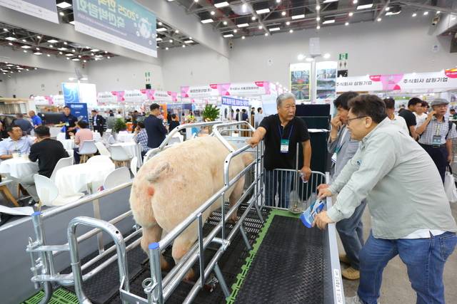 제13회 한국국제축산박람회가 10일 대구 엑스코에서 3일간의 일정으로 개막했다. 축산박람회에 참가한 한 업체에서 돼지 사육을 위한 신제품을 관람객에 소개하고 있다. 김명환 기자 kmh@idaegu.com