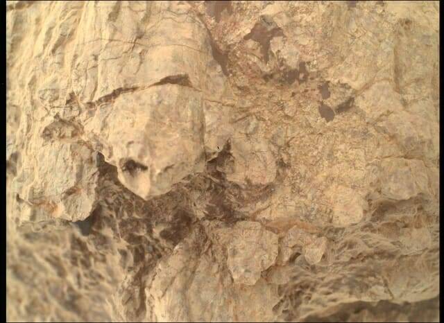 퍼시비어런스 탐사선이 화성에서 거북이를 닮은 독특한 모양의 화성 암석을 포착했다. (출처= NASA/JPL-칼텍)