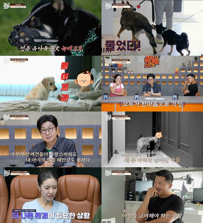 ‘개와 늑대의 시간’ (제공: 채널A)