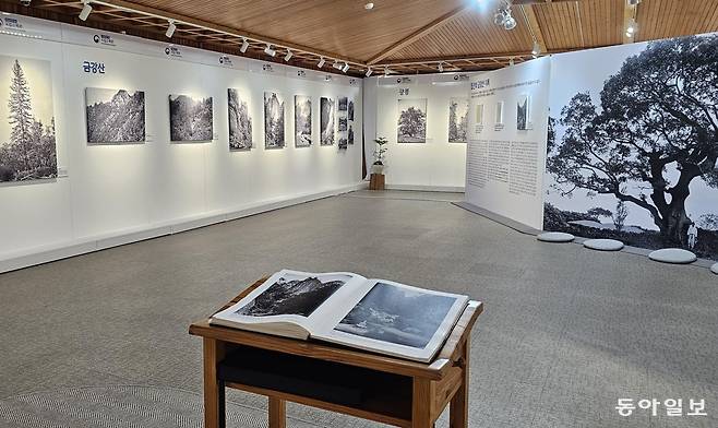 국립수목원에서 열리고 있는 ‘우리 식물의 잃어버린 기록’ 전시. 포천=김선미 기자 kimsunmi@donga.com