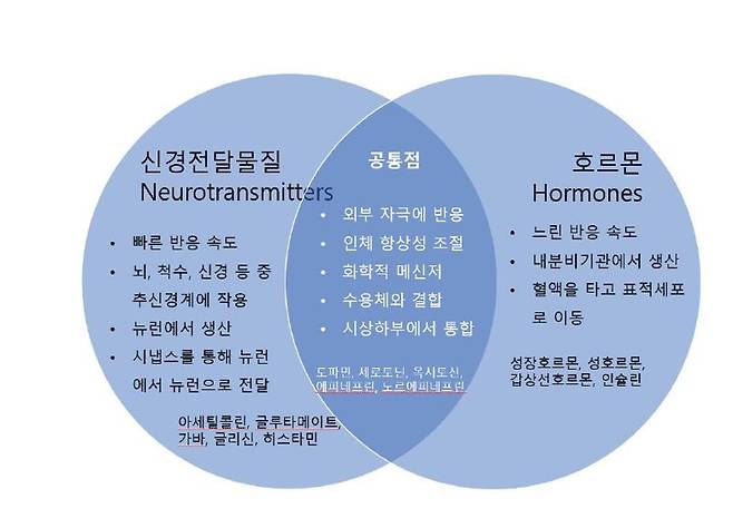 "뇌의 우체부 vs 몸의 택배기사: 신경전달물질과 호
