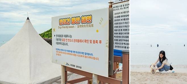 함도그비치  / 사진=제주관광공사